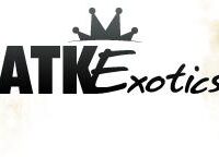 ATK Exotics